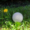 Pelota De Golf Decorativa